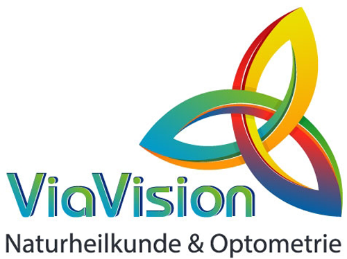Via Vision Logo