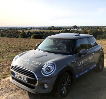 Mini mit Wollenhauptbeschriftung parkt auf einem Feld